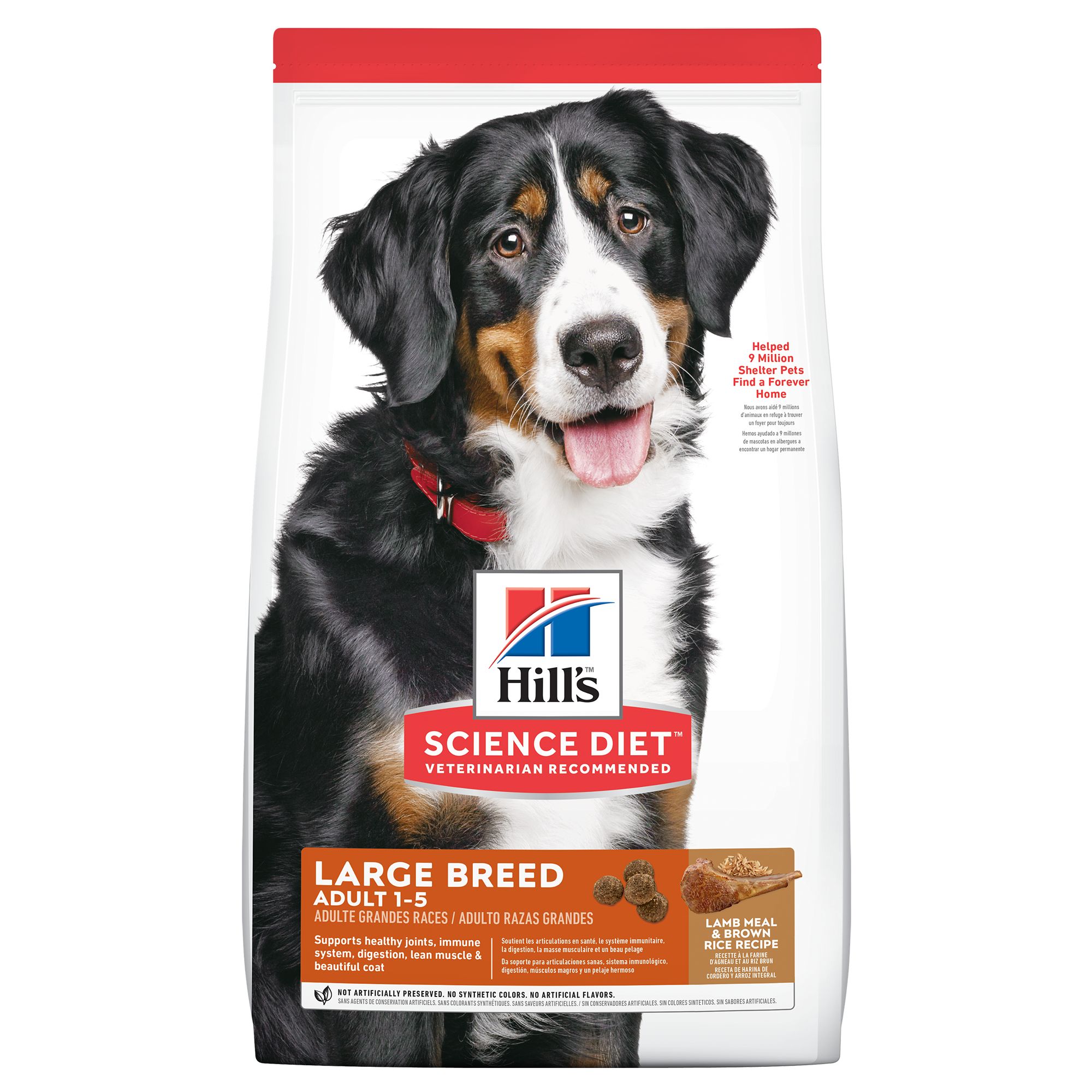 large breed science diet