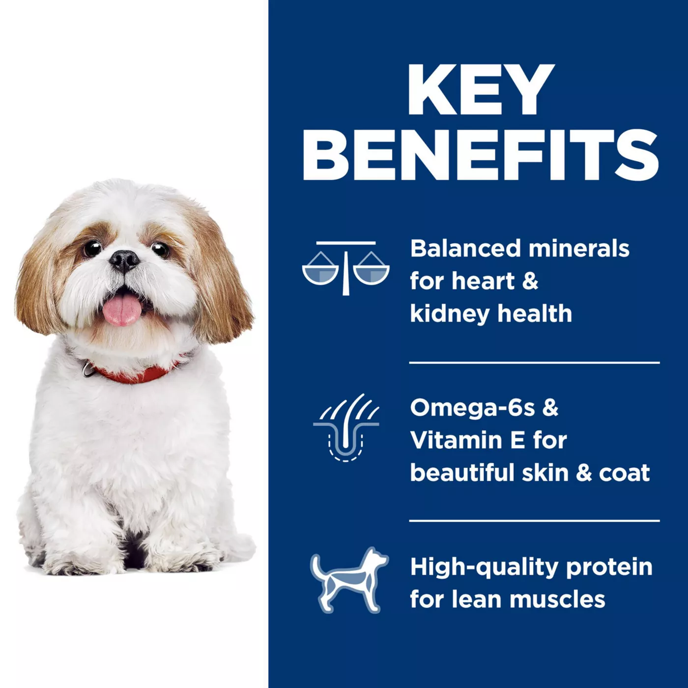 Hill s Science Diet Small Bites Senior 7 Dry Dog Food Chicken Recipe