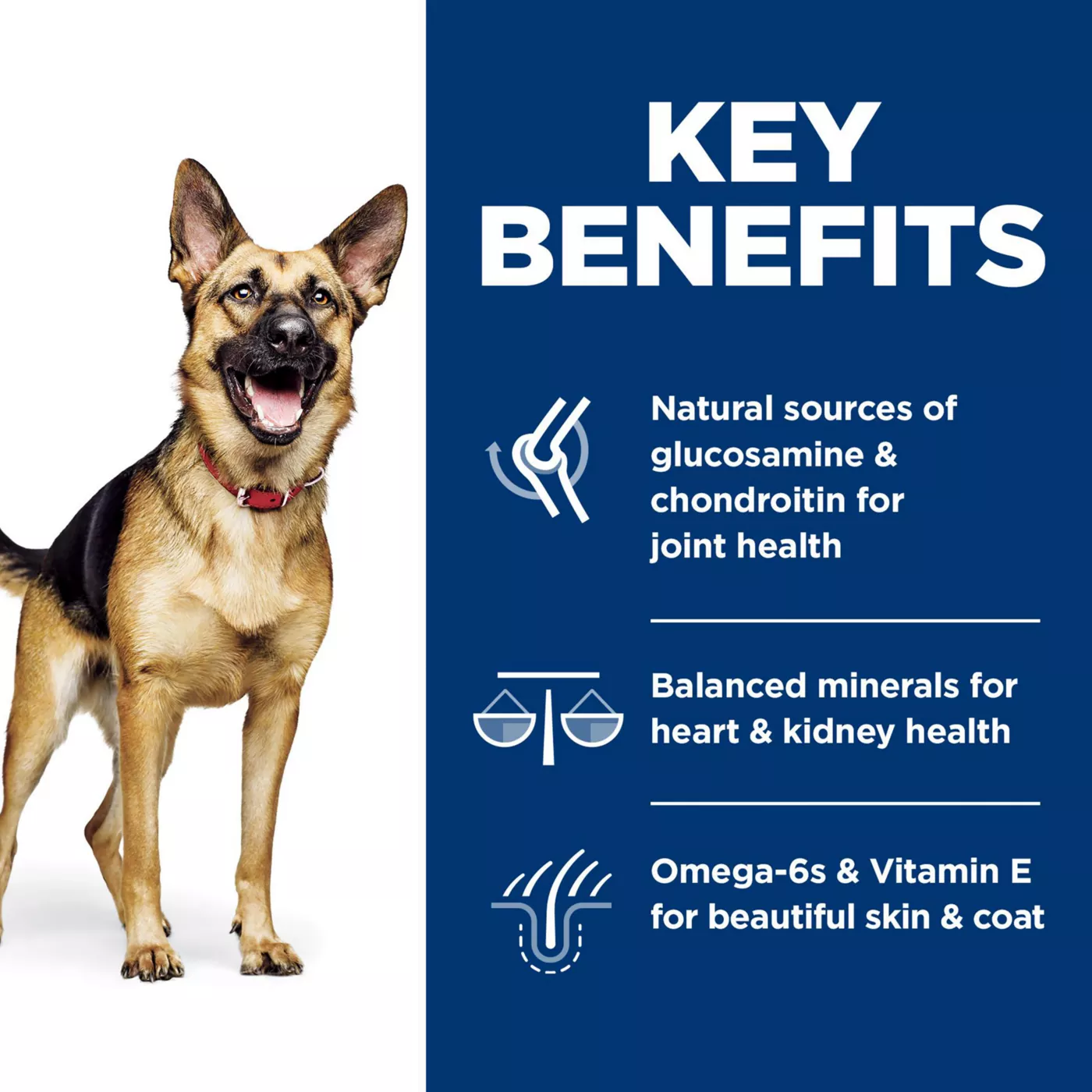 Hill's science diet dog food joint care best sale