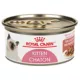 Product Royal Canin® Feline Health Nutrition™ Thin Slices In Gravy Kitten Food