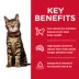 Hill's® Science Diet® Light Adult Dry Cat Food - Chicken image thumbnail 5