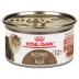 Royal Canin Feline Senior Wet Cat Food Aging 12+ Health Nutrition - Thin Slices in Gravy, 3 oz image thumbnail 1