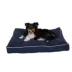 Carolina Pet Classic Canvas Rectangle Personalized Dog Bed image thumbnail 2