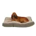 Carolina Pet Four Season Jamison Dog Bed image thumbnail 2