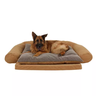 Product Carolina Pet Orthopedic Comfort Couch Personalized Dog Bed