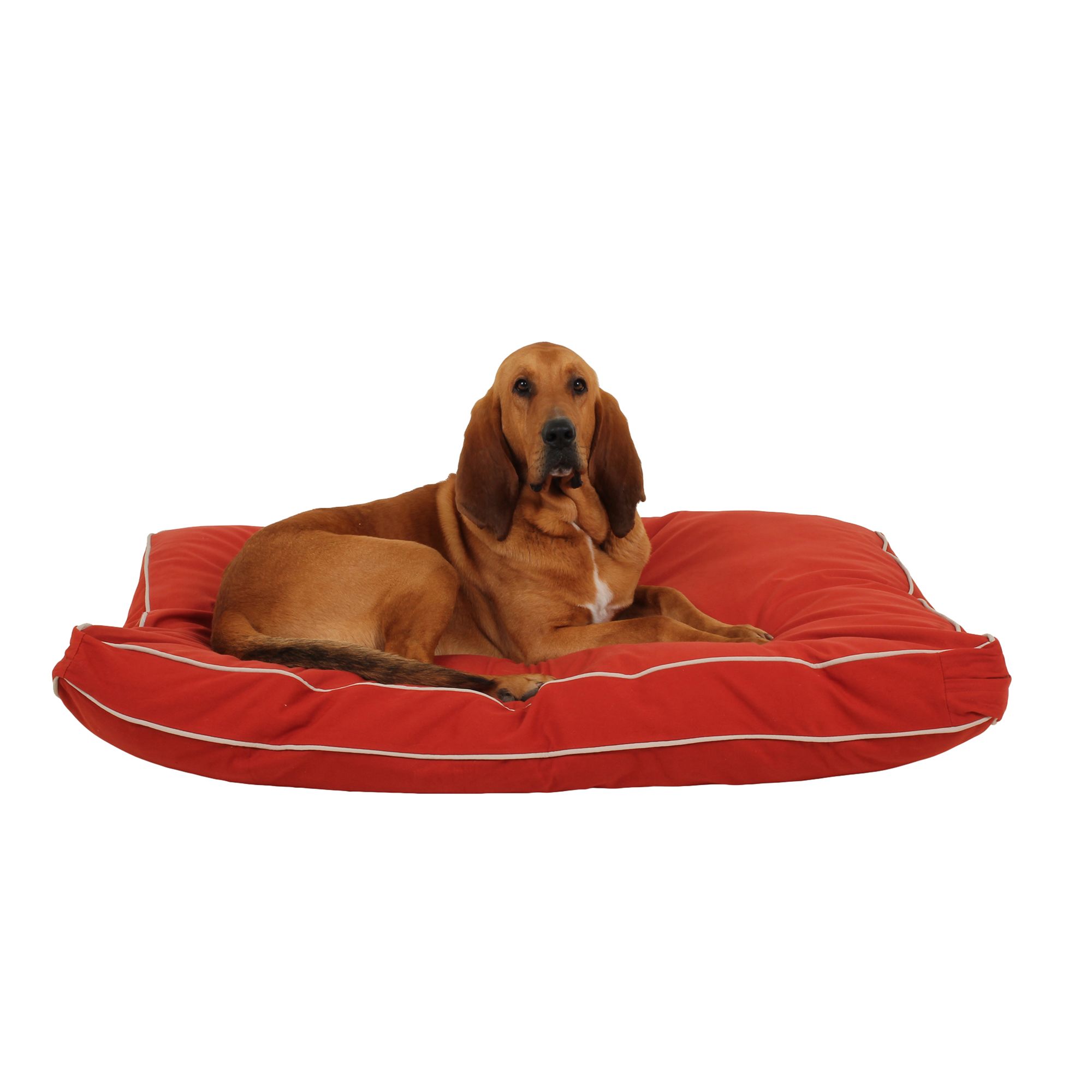 canvas dog beds sale