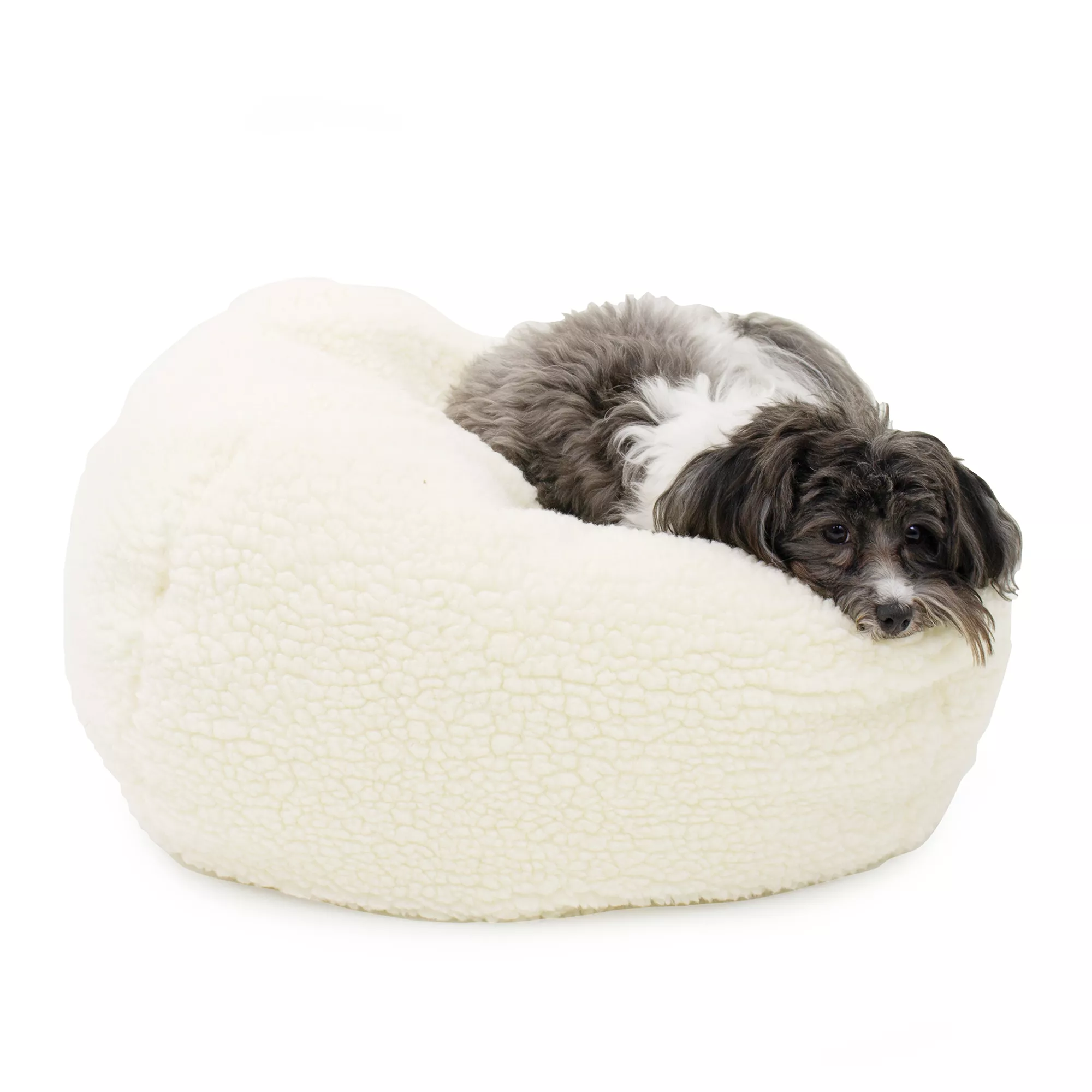 Carolina Pet Personalized Sherpa Puff Ball Dog Bed