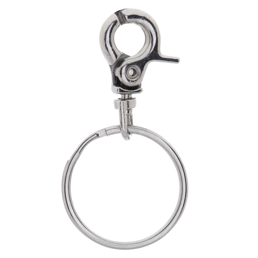 TagWorks Tag Clip in Silver | PetSmart