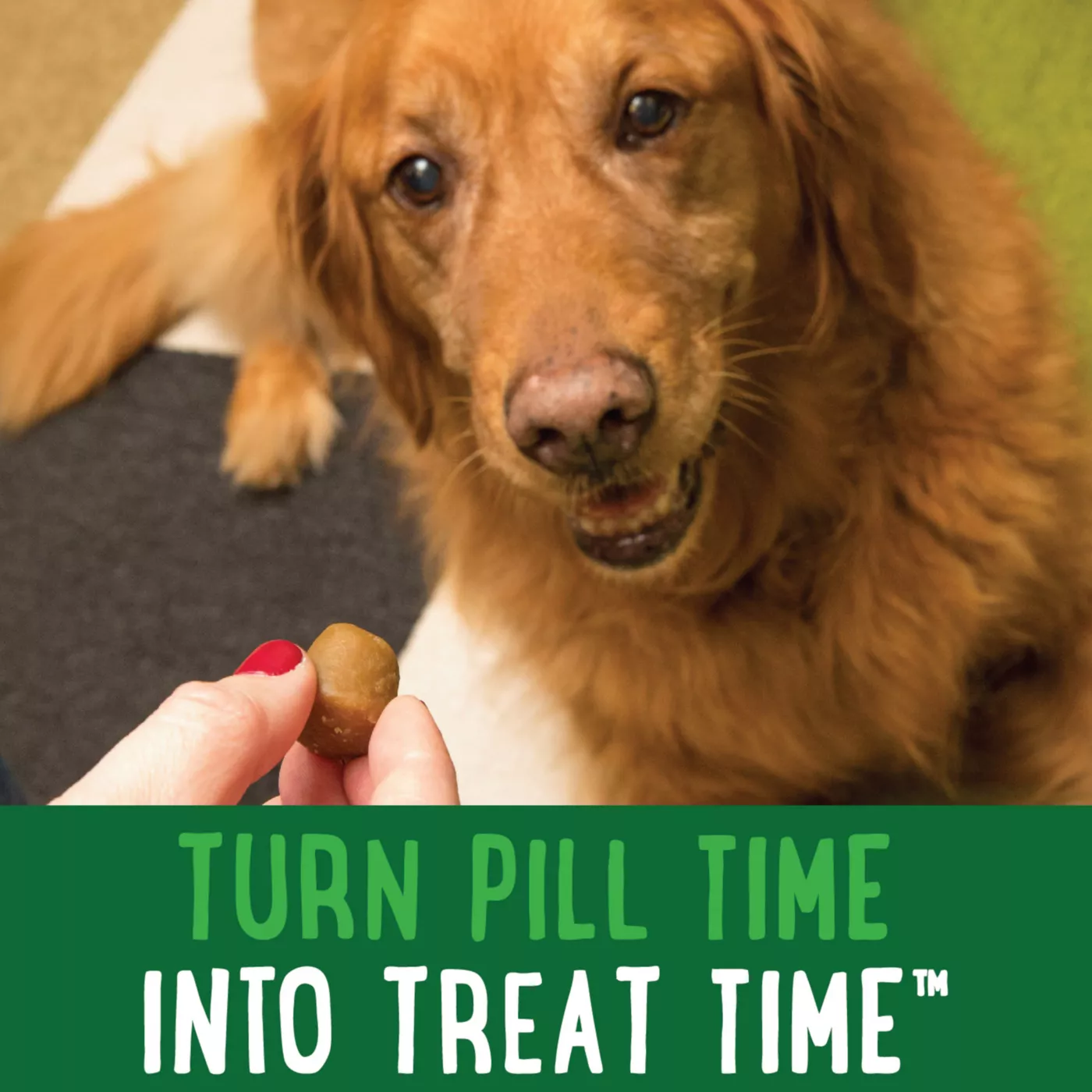 Dog treat for pills best sale