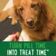 Product Greenies Pill Pockets Dog Treats for Tablets - Peanut Butter