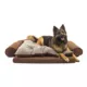 Product Carolina Pet Orthopedic Comfort Couch Personalized Dog Bed