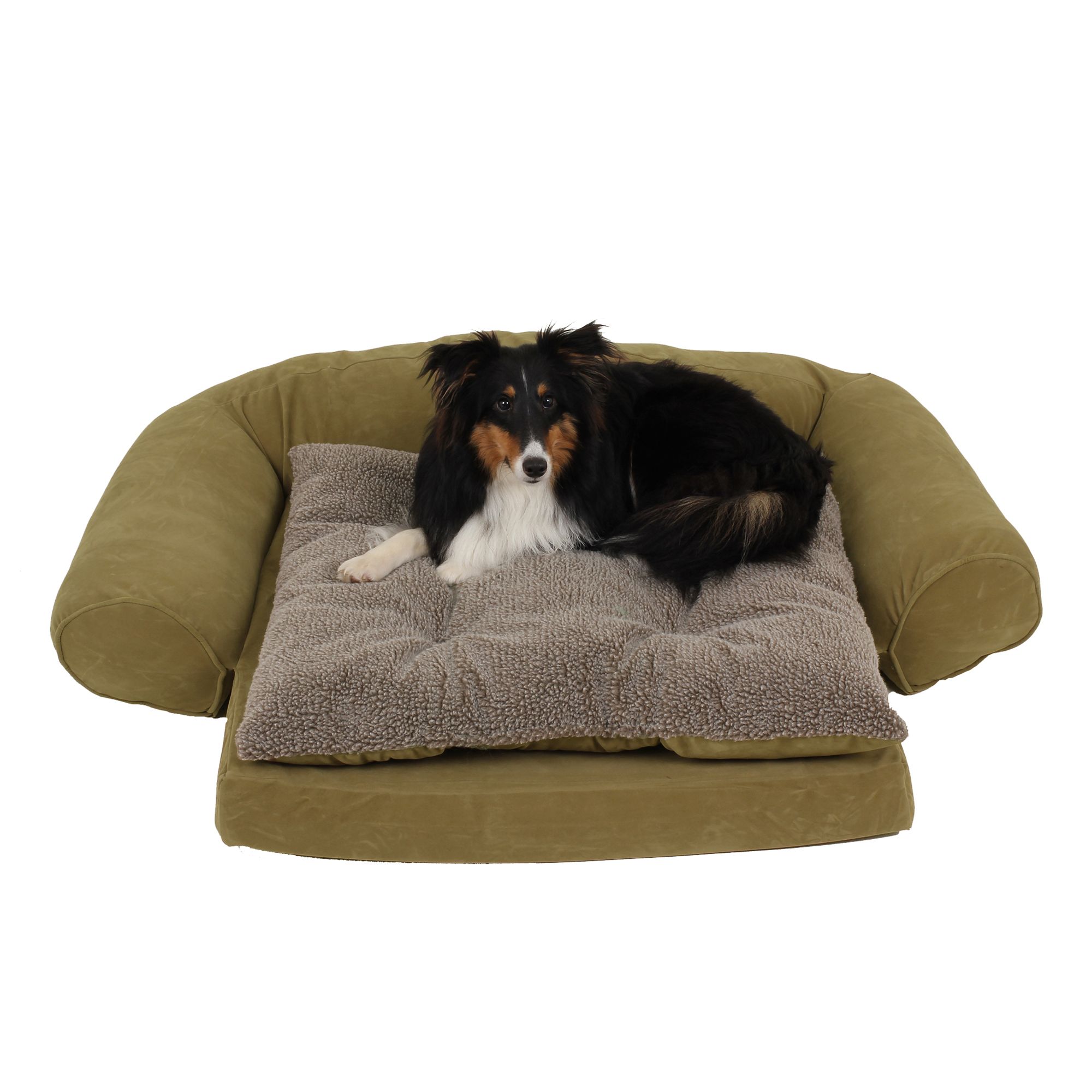 petsmart dog couch