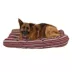 Carolina Pet Indoor/Outdoor Striped Dog Bed image thumbnail 2