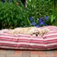 Product Carolina Pet Indoor/Outdoor Striped Dog Bed