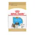 Royal Canin Puppy Dry Dog Food - Shih Tzu Breed Health Nutrition, 2.5 lb image thumbnail 1