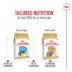Royal Canin Puppy Dry Dog Food - Shih Tzu Breed Health Nutrition, 2.5 lb image thumbnail 7