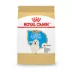 Royal Canin® Breed Health Nutrition® Golden Retriever Puppy Dog Dry Food image thumbnail 1