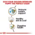 Royal Canin® Breed Health Nutrition® Golden Retriever Puppy Dog Dry Food image thumbnail 3