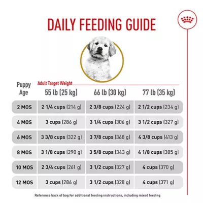 Product Royal Canin® Breed Health Nutrition® Golden Retriever Breed Specific Puppy Dog Dry Food - 30 lb