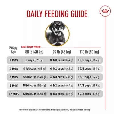 Product Royal Canin® Breed Health Nutrition® Rottweiler Breed Specific Puppy Dog Dry Food - 30 lb