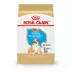 Royal Canin® Breed Health Nutrition® Bulldog Breed Specific Puppy Dog Dry Food - 30 lb image thumbnail 1