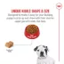 Royal Canin® Breed Health Nutrition® Bulldog Breed Specific Puppy Dog Dry Food - 30 lb image thumbnail 4