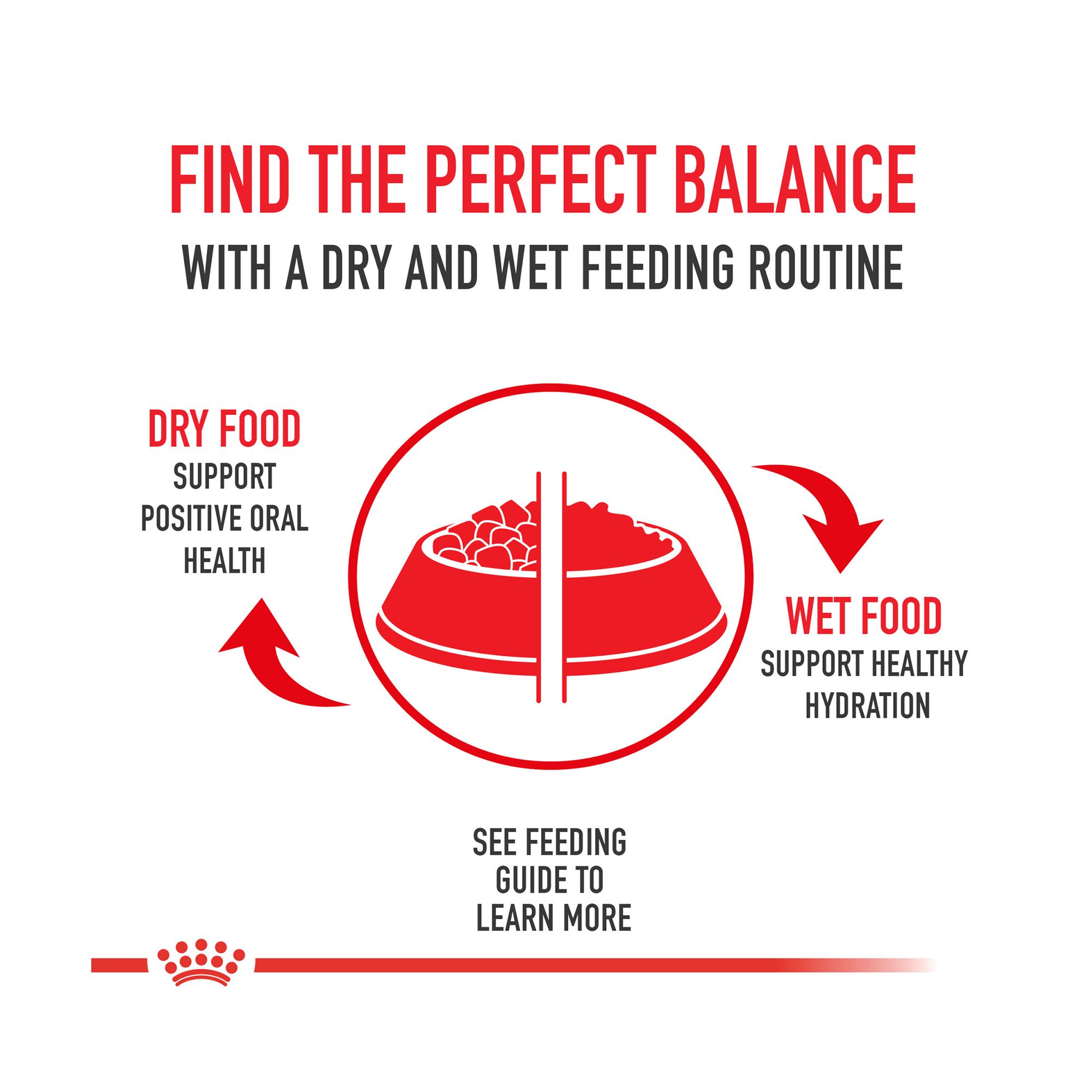 royal canin feeding chart