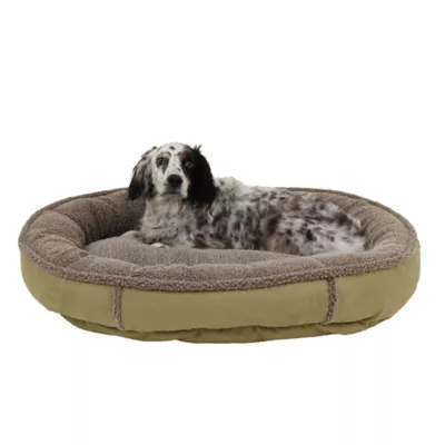 Product Carolina Pet Comfy Cup Dog Bed