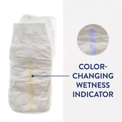 Product Top Paw Disposable Diapers 30 Pack