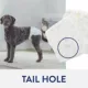Product Top Paw Disposable Diapers 30 Pack