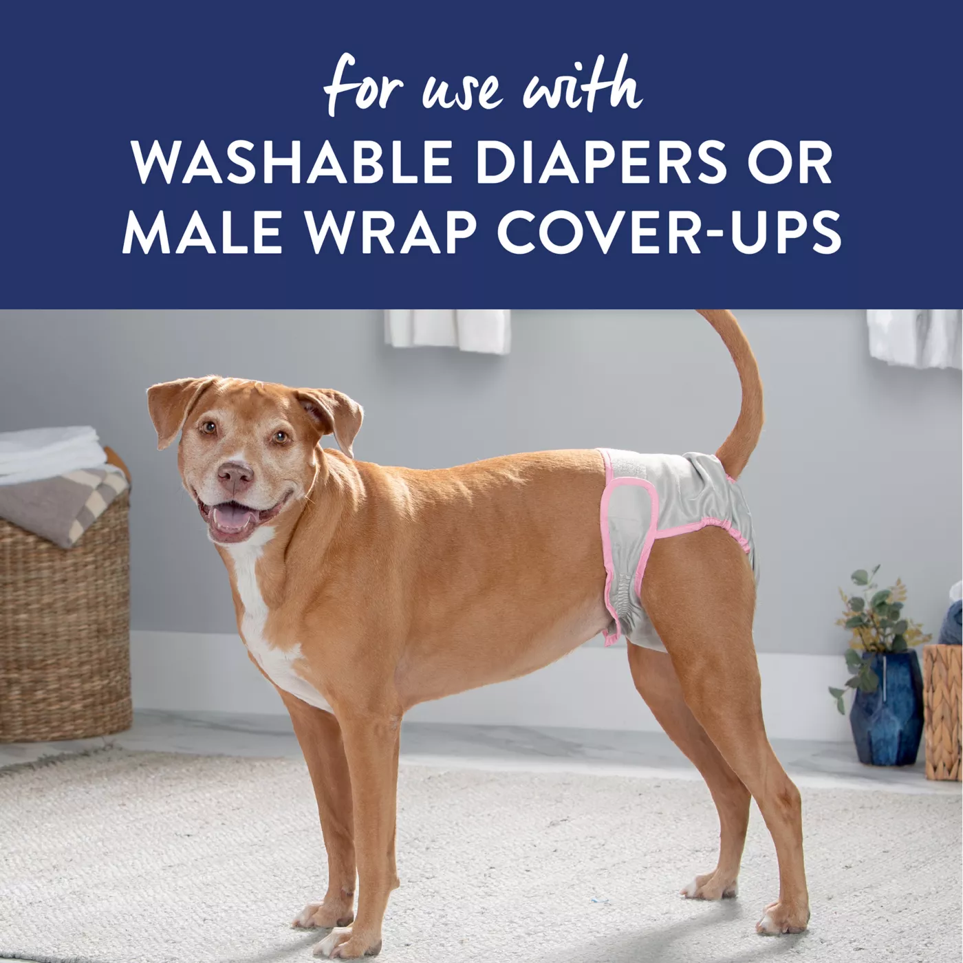 Disposable dog diapers petsmart hotsell