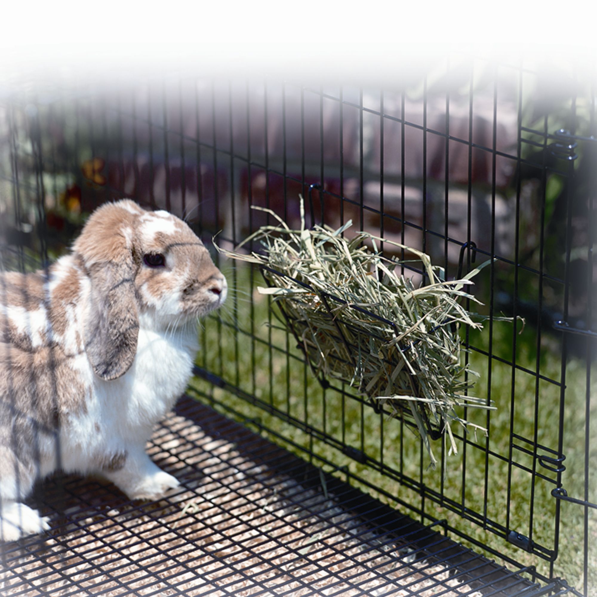 Precision Pet Products Hay Rack