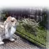 Precision Pet Products® Hay Rack image thumbnail 1
