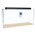 Clear-For-Life 240 Gallon Rectangle Aquarium image thumbnail 1
