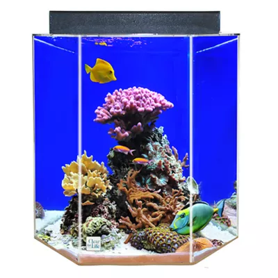 Clear-For-Life 28 Gallon Hexagon Aquarium - Image 2