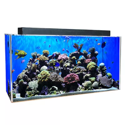 Product Clear-For-Life 75 Gallon Rectangle Aquarium