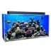 Clear-For-Life 75 Gallon Rectangle Aquarium image thumbnail 2