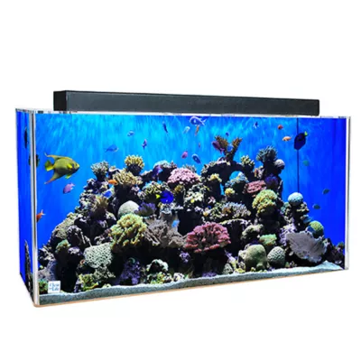 Product Clear-For-Life 50 Gallon Rectangle UniQuarium