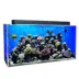 Clear-For-Life 50 Gallon Rectangle UniQuarium image thumbnail 3