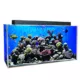 Product Clear-For-Life 50 Gallon Rectangle UniQuarium