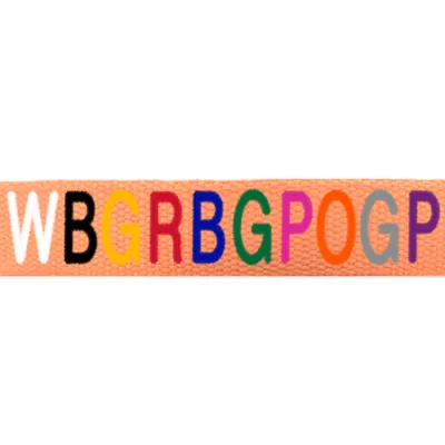 Coastal Pet Products Personalized Eco-Friendly Dog Collar - Image 2