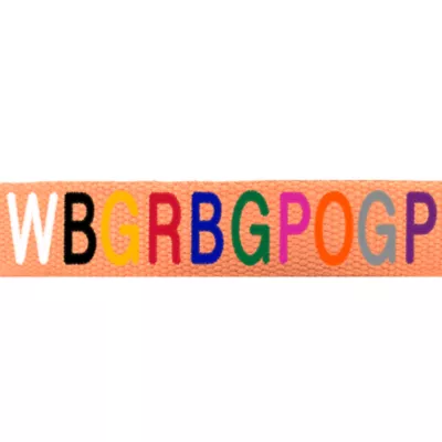 Product Coastal Pet Products Personalized Eco-Friendly Dog Collar