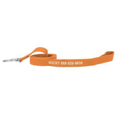 Coastal Pet Products Personalized Eco-Friendly Dog Leash: 6-ft long - Image 1