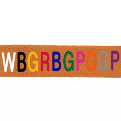 Coastal Pet Products Personalized Eco-Friendly Dog Leash: 6-ft long - Image 2