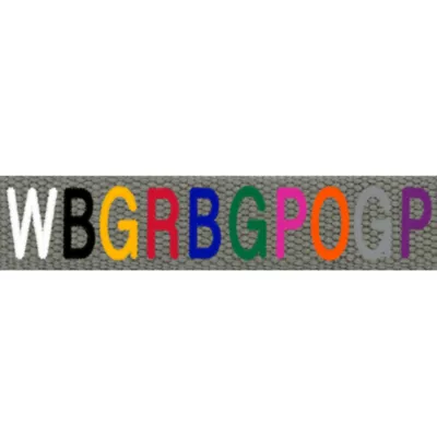 Product Coastal Pet Products Personalized Eco-Friendly Dog Collar