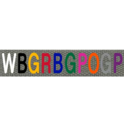 Coastal Pet Products Personalized Eco-Friendly Dog Leash: 6-ft long - Image 2