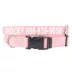 Coastal Pet Products Personalized Eco-Friendly Dog Collar image thumbnail 1