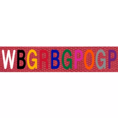 Product Coastal Pet Products Personalized Eco-Friendly Dog Leash: 6-ft long