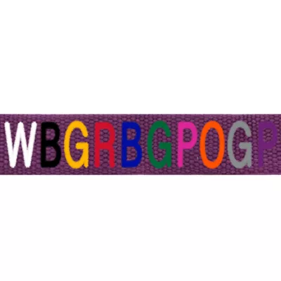 Product Coastal Pet Products Personalized Eco-Friendly Dog Leash: 6-ft long