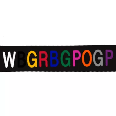 Coastal Pet Products Comfort Wrap Personalized Dog Harness - Image 2